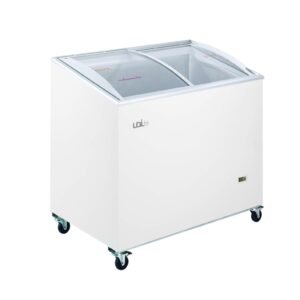 ARCA CONG.  UDIfri 300 VC c/fecho  (1000x615x950)